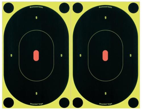 Birchwood Casey Shoot-N-C Targets, 10/Pack