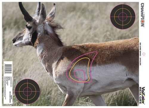 Champion VisiColor Real Life Targets Deer/Antelope/Whitetail Deer