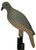 Mojo Decoy Clip-On Dove Natural 4 Per Pack