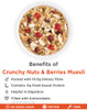 Crunchy Nuts & Berries Muesli, with Almonds and Cranberries 400gm | By True Elements | 15.87 Oz | 0.99 lbs
