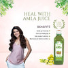 Amla Juice 1000ml (Pack of 2) | By Axiom | 67.63 fl oz | 0.53 gallon