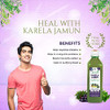 Karela Jamun Swaras 500ml (Pack of 2) | By Axiom | 33.81 fl oz | 0.26 gallon