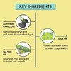 Activated Charcoal Shampoo |By Kalon Natural | 7.6 Oz | 0.48 lbs