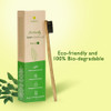Eco-friendly Toothbrush made from Natural Neem Wood with Anti-bacterial & Anti-fungal properties | By Sarveda | 5.29 Oz