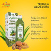 Triphla Aloevera Juice 1000ml (Pack of 2) | By Axiom | For USA | 67.63 fl oz | 0.53 gallon