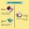 Onion Hair Oil - Blend of 14 Natural Oils | By Kalon Natural | For USA | 7.76 Oz | 0.48 lbs