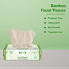 Facial Tissue Carbox - 100 Pulls - Pack of 6 | By BECO | For USA | 0.03 Oz