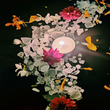 Bhimsen Camphor |By Ashwam Ayurveda | 3.53 Oz | 0.22 lbs | SU-TQ-MAY20