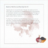 Red Onion Black Seed Hair Oil |By 91Ayurveda | 3.38  Fl Oz | SU-TQ-MAY20
