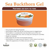 Ayurveda Sea Buckthorn Aloe Vera Gel (Pack Of 2) |By Guduchi | 7.05 Oz | 0.44 lbs | SU-TQ-MAY20