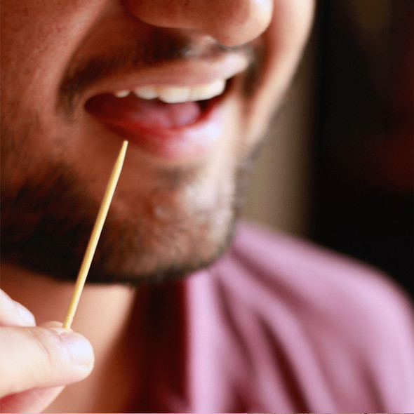 Sustainable Bamboo Toothpick- 600 Sticks - 100 sticks X Pack of 10 | By BECO | 7.05 Oz | 0.44 lbs