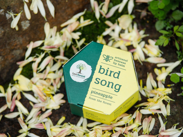 Artisanal, Handmade Beeswax Lip Balm Pineapple | By Last Forest | 0.18 Oz