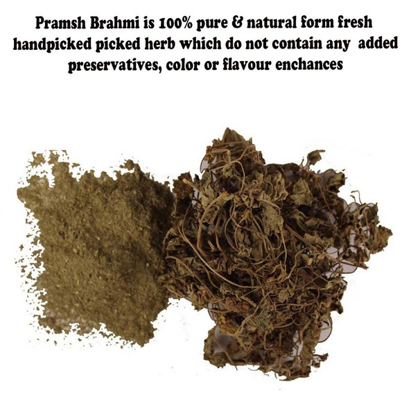 Pramsh Premium Quality 100% Natural Brahmi Powder For Nourishing Hair Care & Hair Growth |By Pramsh | 3.53 Oz | 0.22 lbs | SU-TQ-MAY20