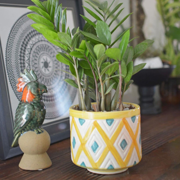 Hansel Yellow Ceramic Planter |By Thorny Affair | 35.27 Oz | 2.2 lbs | SU-TQ-MAY20