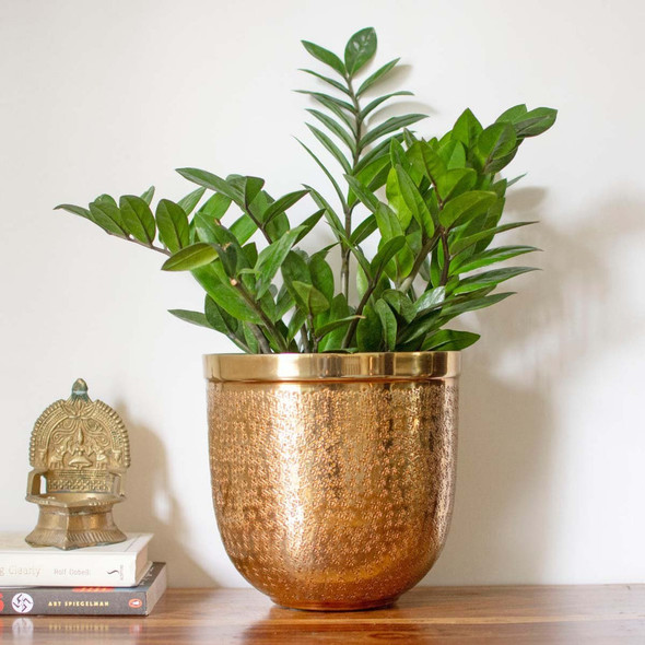 Elham Gold Indoor Planter |By Thorny Affair | 17.64 Oz | 1.1 lbs | SU-TQ-MAY20