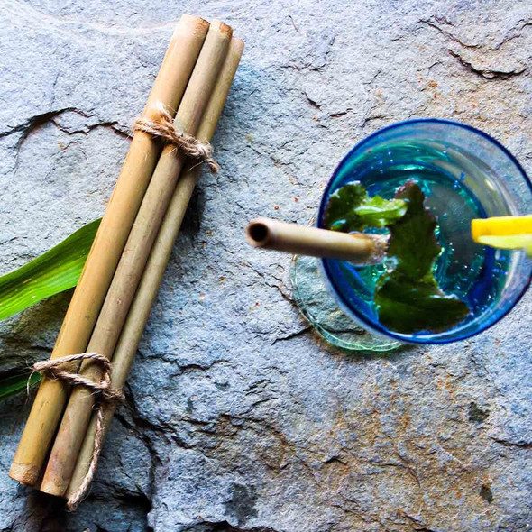 Bamboo Straw (Pack of 5) |By Rejuvenating Ubtan | 3.53 Oz | 0.22 lbs | SU-TQ-MAY20