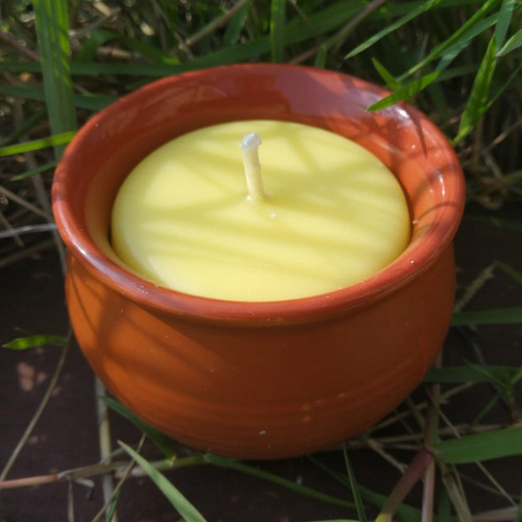 Citronella Soy Wax Candle (Small Brown Cup) |By Touch Nature | 3.53 Oz | 0.22 lbs | SU-TQ-MAY20