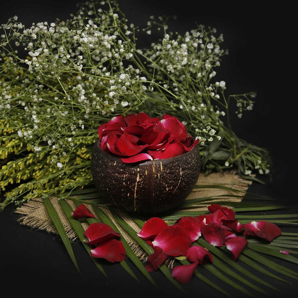 Coconut Bowls |By Clean Planet | 1.06 Oz | 0.07 lbs | SU-TQ-MAY20