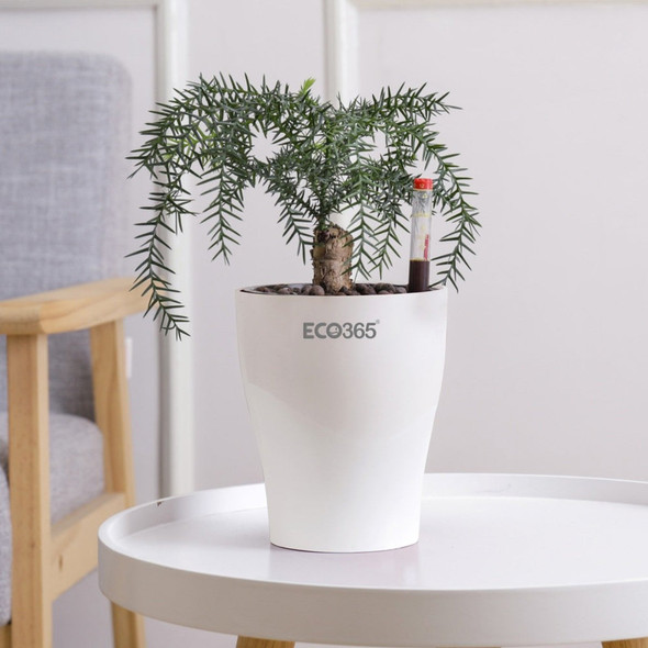 Self Watering Planter Decor Pot With Water Level Indicator- 1004M |By ECO365 | 3.53 Oz | 0.22 lbs | SU-TQ-MAY20