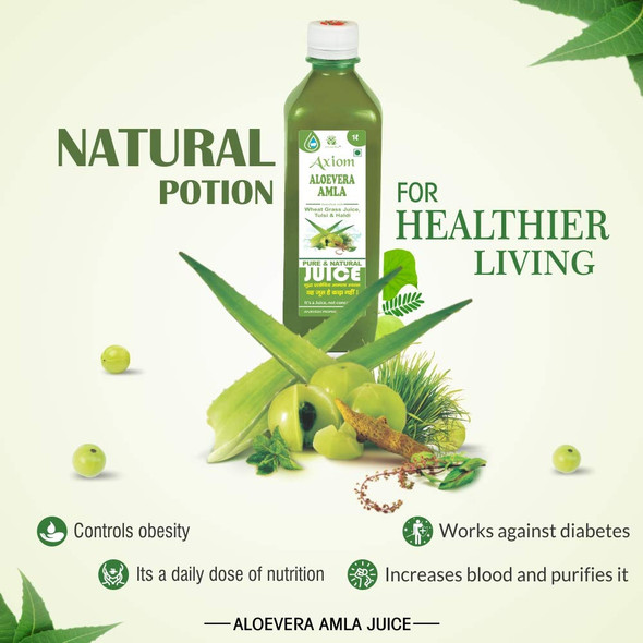 Aloevera Amla Juice 1000ml (Pack of 2) | By Axiom | For USA | 67.63 fl oz | 0.53 gallon
