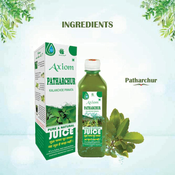 Patharchur Juice 500ml (Pack of 2) | By Axiom | For USA | 33.81 fl oz | 0.26 gallon