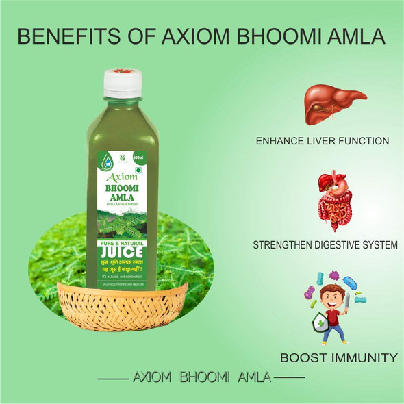 Bhoomi Amla Juice 500ml | By Axiom | For USA | 16.91 fl oz | 0.13 gallon