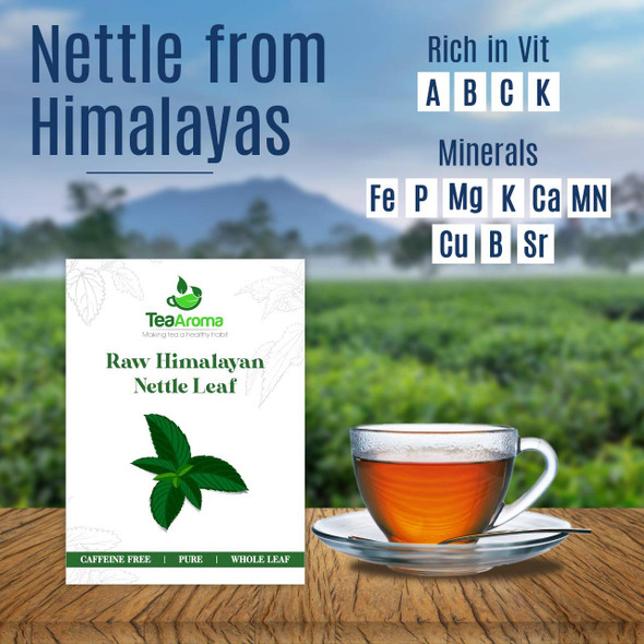 Raw Himalayan Nettle Leaf (50g) , Caffeine Free , Whole Leaf , Vitamins and Minerals Rich , Herbal Tea , Organic Tea Leaves | By Tea Aroma | For USA | 1.76 Oz | 0.11 lbs