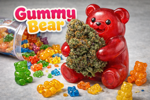 Gummy Bear THCa Flower