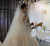 QueenLine wedding dress 2 in 1 lace mermaid wedding dress with detachable train 100% real work photo