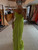 QueenLine Celebrity Green Pleated Off Shoulder Sleeveless Sexy Backless Lace Up Sling Long Evening Dress