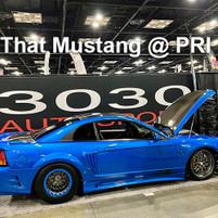 ByePolr Custom Performance's Amazing Saleen Mustang