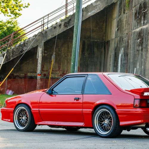 Unleash Your Fox Body’s Potential