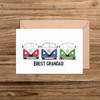 Best Grandad Number Plate Blue, Greenand Red VW Camper Vans Illustration Card