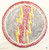Ww2 us  12th weather squadron patch