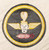 ww2 us 1st Composite Squadron patch B ww2 us 1st Composite Squadron patch B