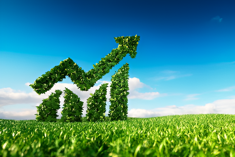 Why Are Eco-Friendly Products Important?