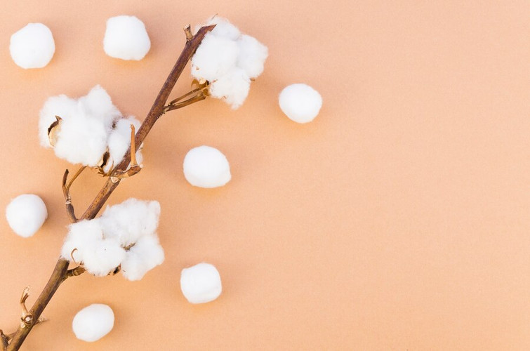 The Rise of Organic Cotton Sanitary Pads: A Sustainable Choice for Modern Women