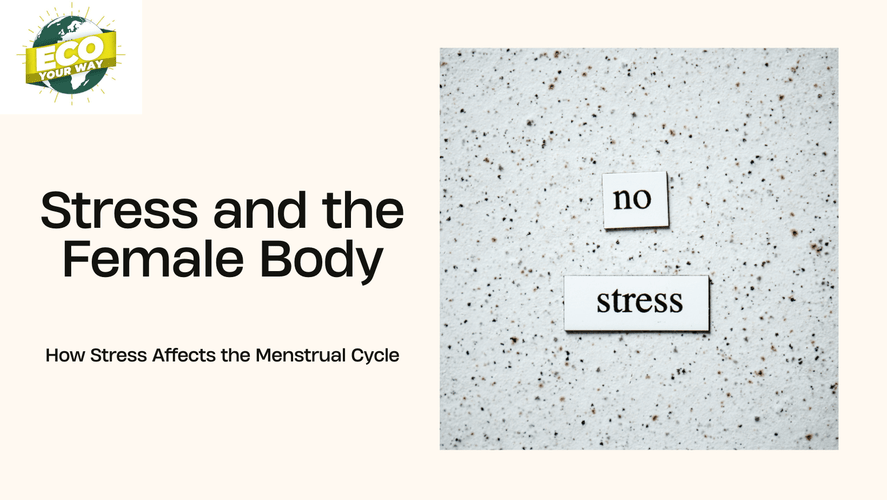 Stress and the Female Body: How Stress Affects the Menstrual Cycle