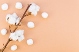 The Rise of Organic Cotton Sanitary Pads: A Sustainable Choice for Modern Women