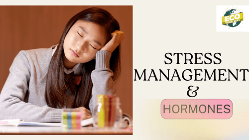 Stress and Hormonal Health: A Holistic Approach to Balance Your Hormones Naturally