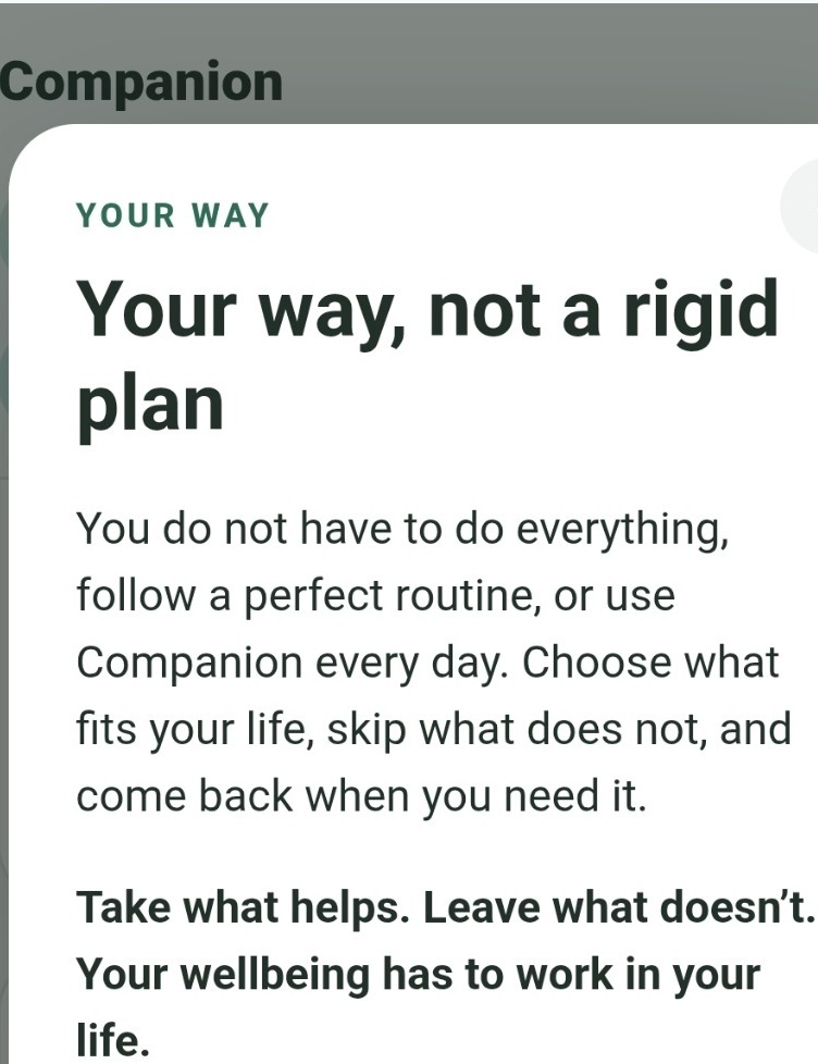 ECO Wellness Companion message explaining that wellbeing does not require a rigid plan