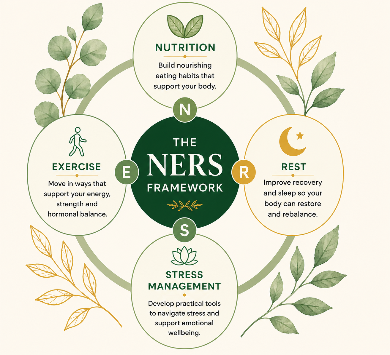 Diagram of the Eco Your Way NERS Framework showing how Nutrition, Exercise, Rest and Stress Management work together to support hormonal wellbeing.