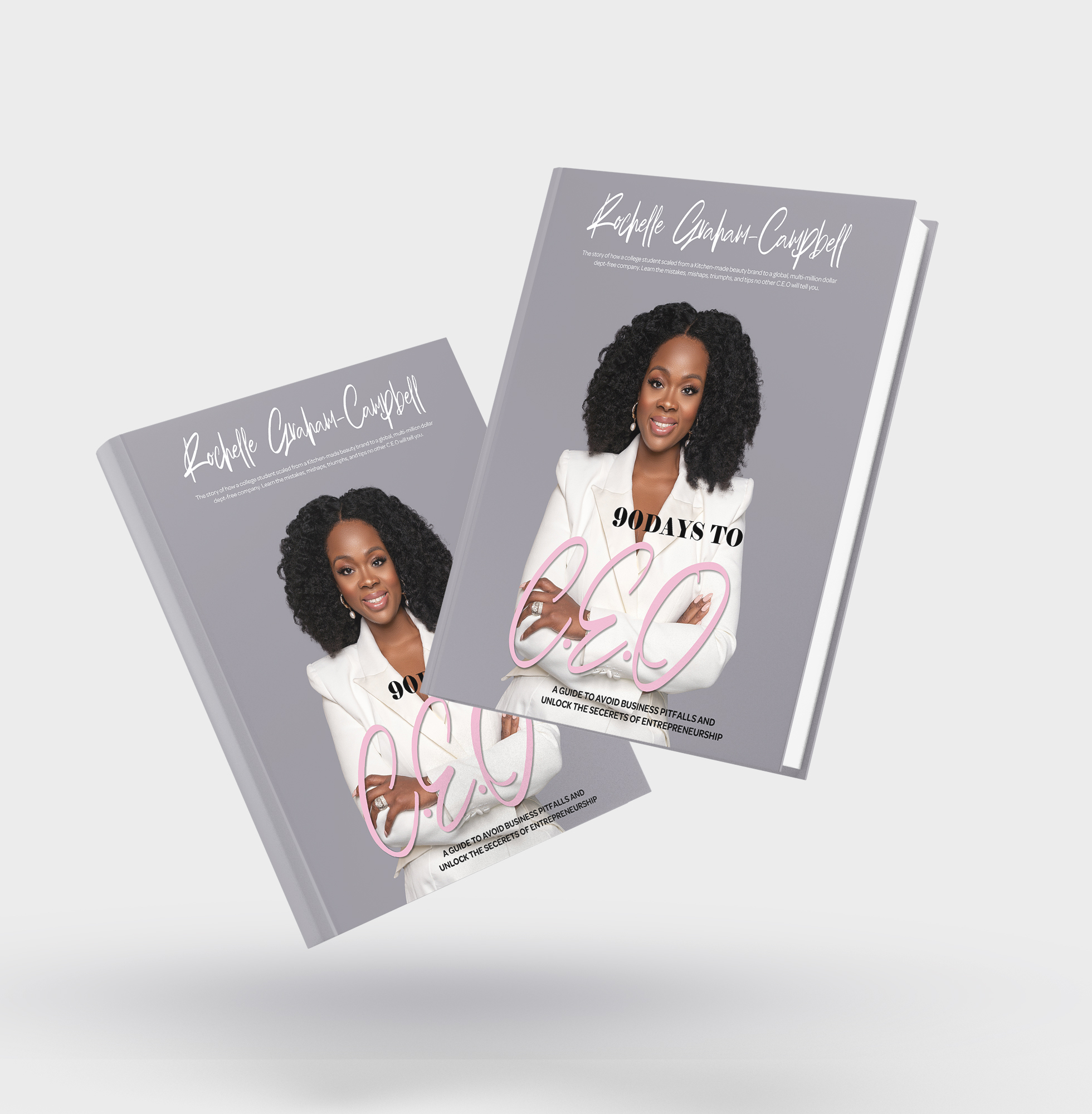 90 Days to C.E.O. Book Cover