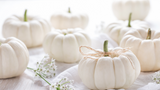 Embrace the Season: Autumn Decoration Ideas for Your Home and Parties