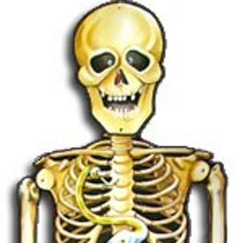 Halloween Party Skeleton Jointed Cutout - Discontinued