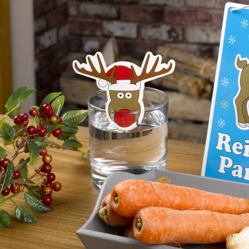 Rudolph Glass Decorations (Pack Of 10)