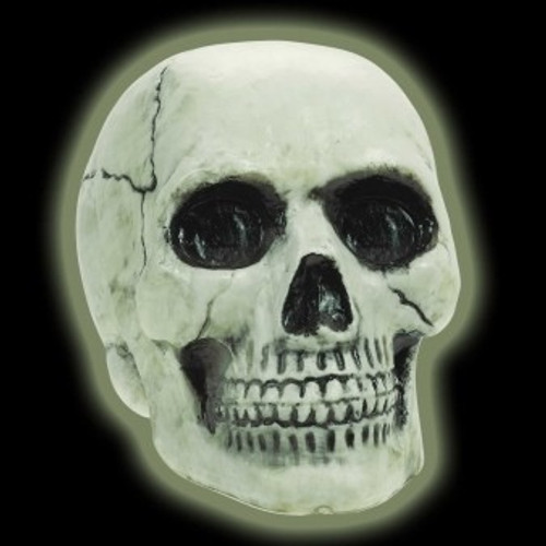 Boneyard Glow In The Dark Skull - Discontinued