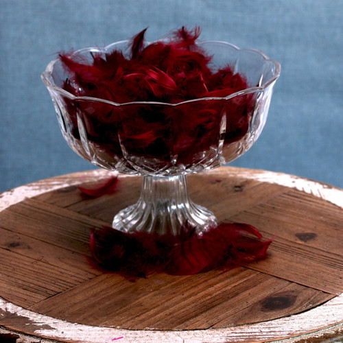 Burgundy Feathers in Bag (5g) Burgundy Feathers in Bag (5g)