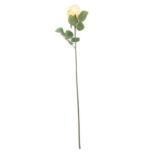 Arundel Rose Bud Yellow Arundel Rose Bud Yellow