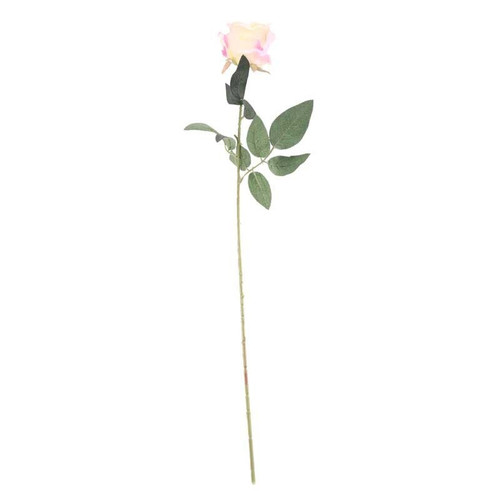 Arundel Rose Ivory Arundel Rose Ivory